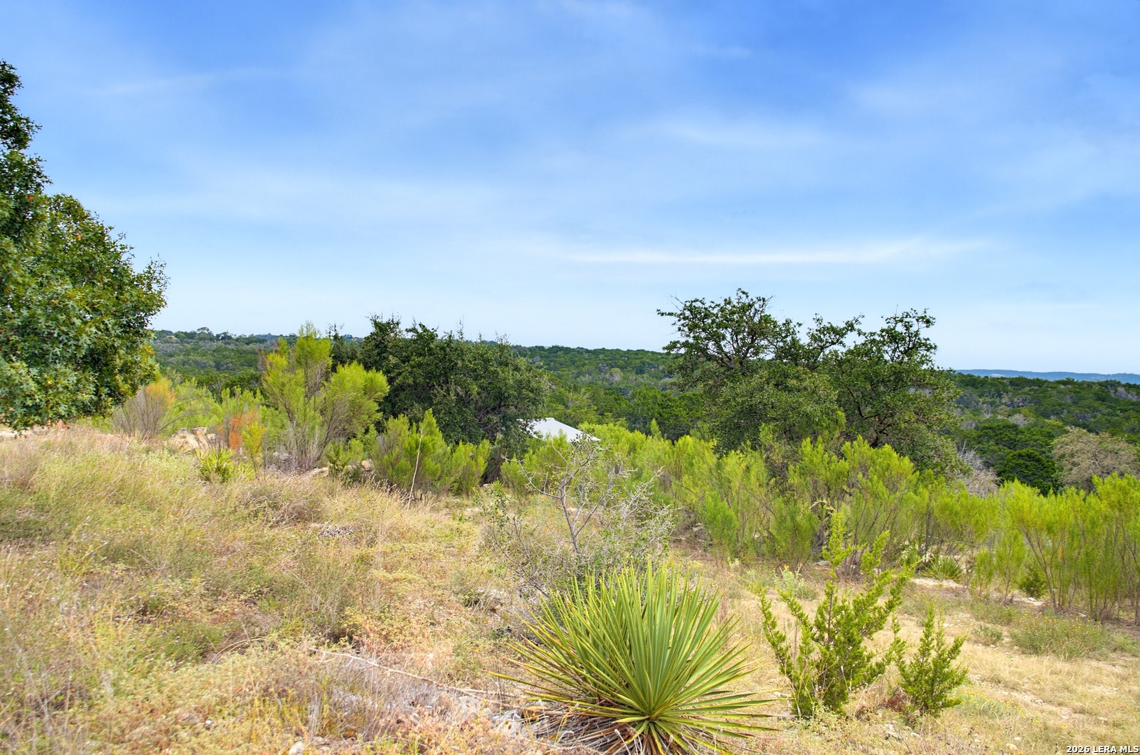 493 Lazy Valley Comfort TX 78013