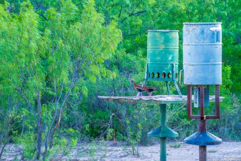 277 Us -277 Brackettville TX 78832