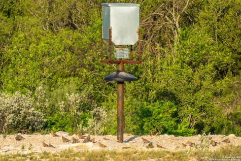 277 Us -277 Brackettville TX 78832