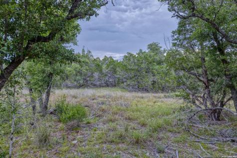 Lot 154 1796 Ranch Dhanis TX 78850
