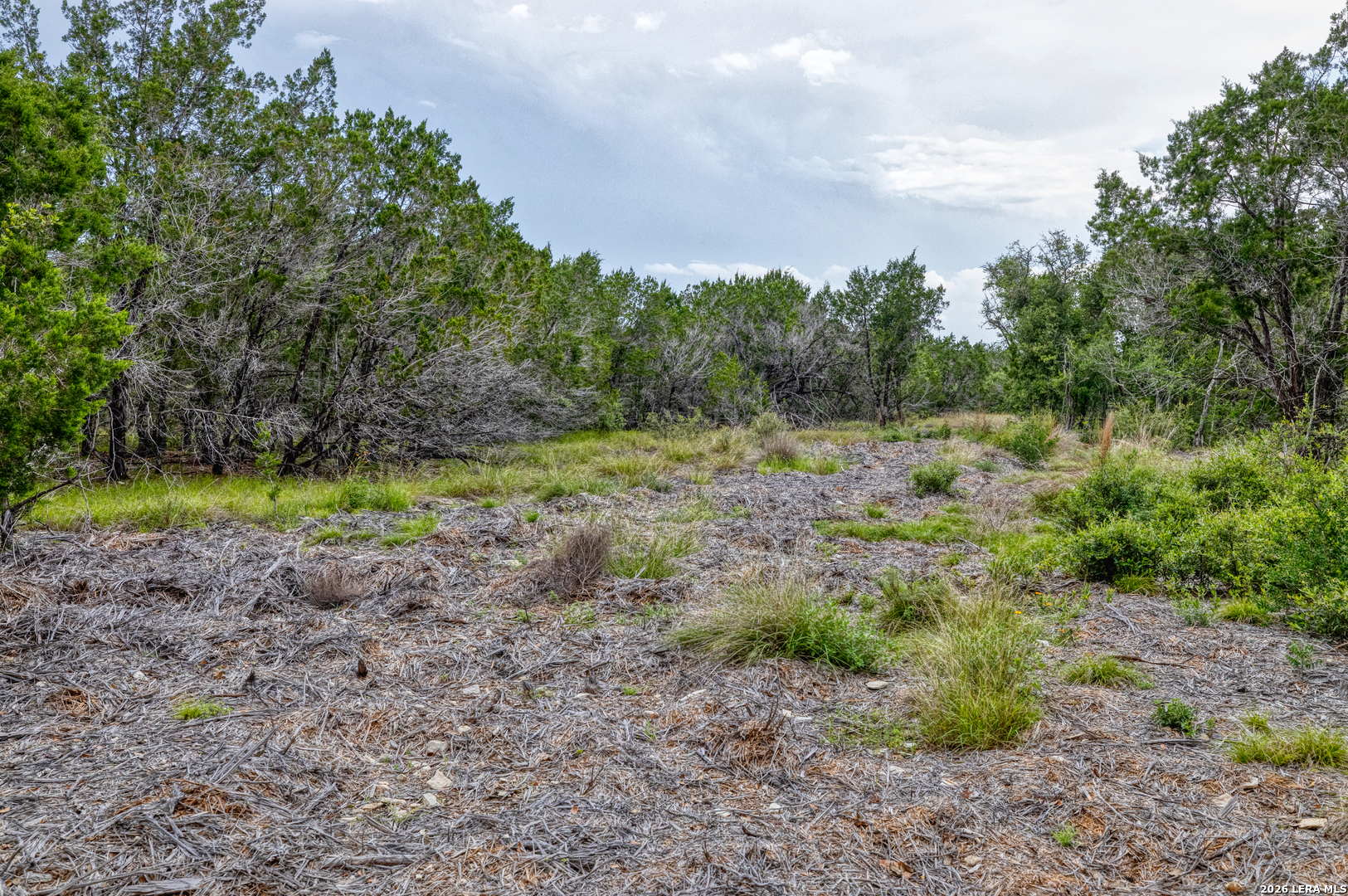 Lot 154 1796 Ranch Dhanis TX 78850