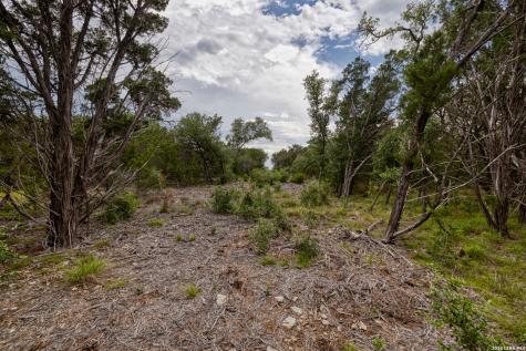 Lot 154 1796 Ranch Dhanis TX 78850