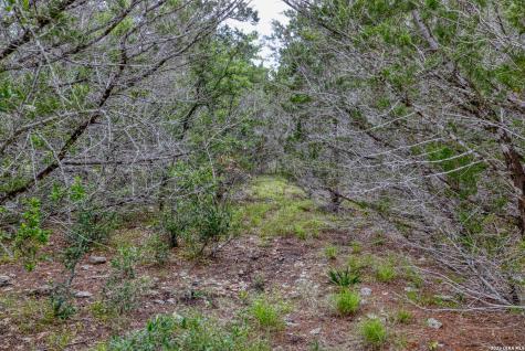 Lot 154 1796 Ranch Dhanis TX 78850