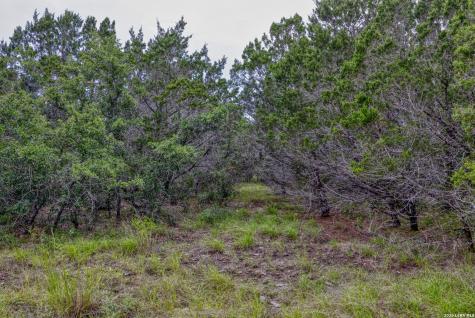 Lot 154 1796 Ranch Dhanis TX 78850
