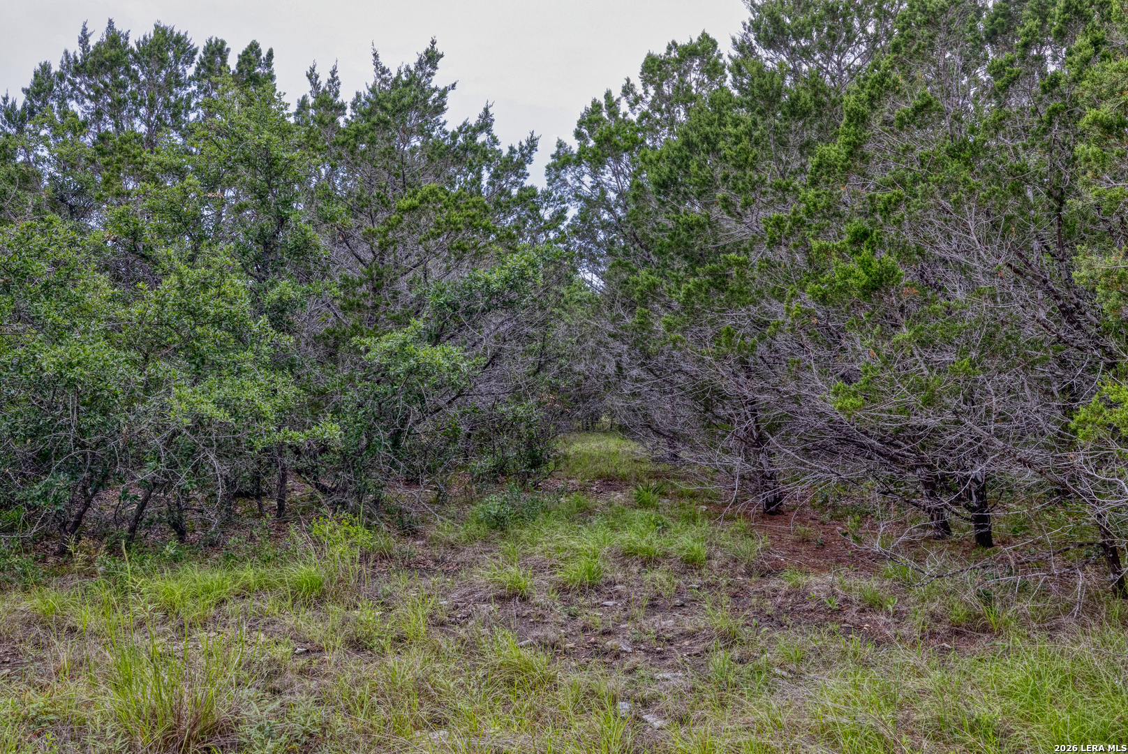 Lot 154 1796 Ranch Dhanis TX 78850