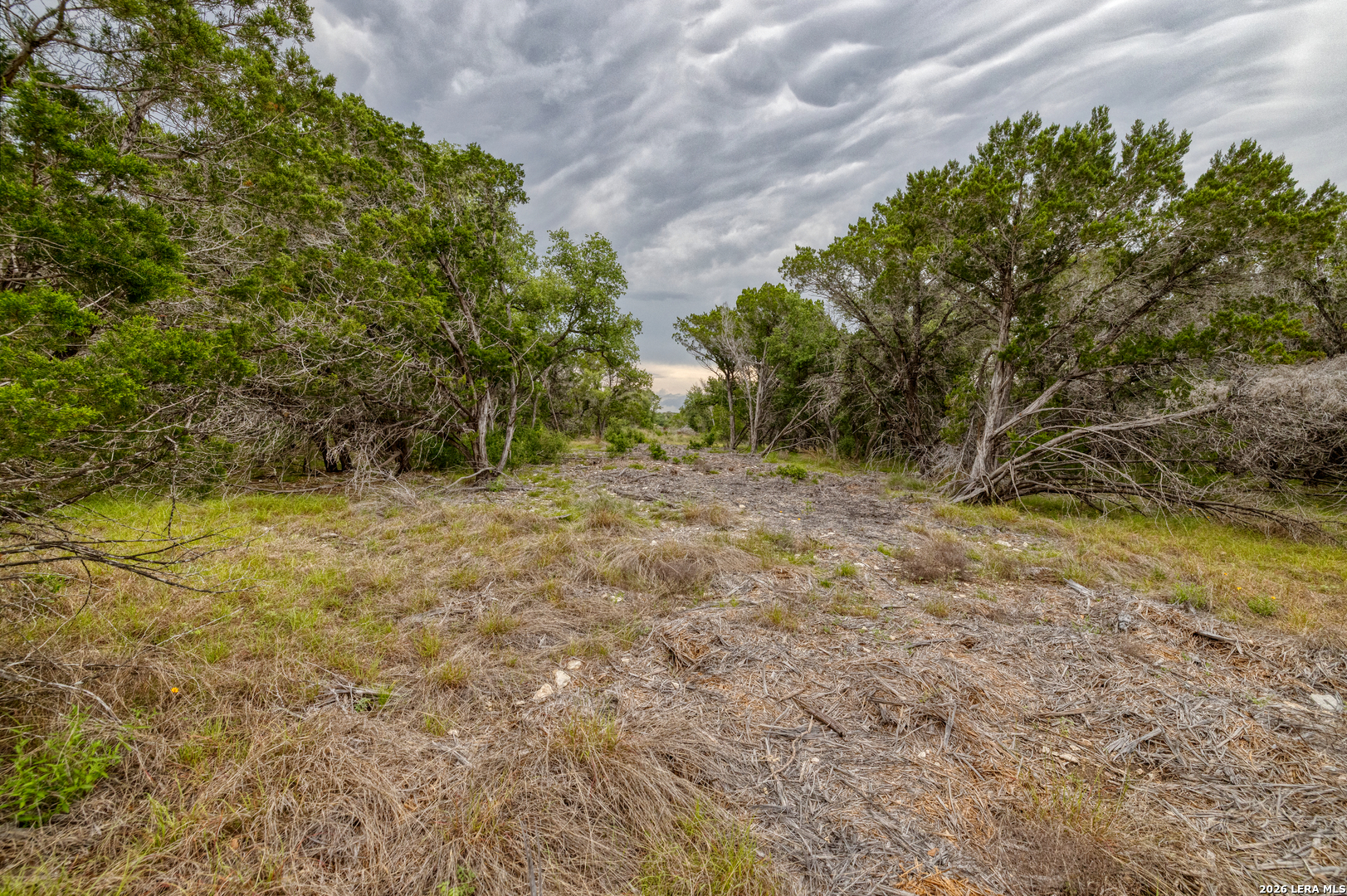 Lot 154 1796 Ranch Dhanis TX 78850