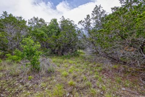 Lot 154 1796 Ranch Dhanis TX 78850