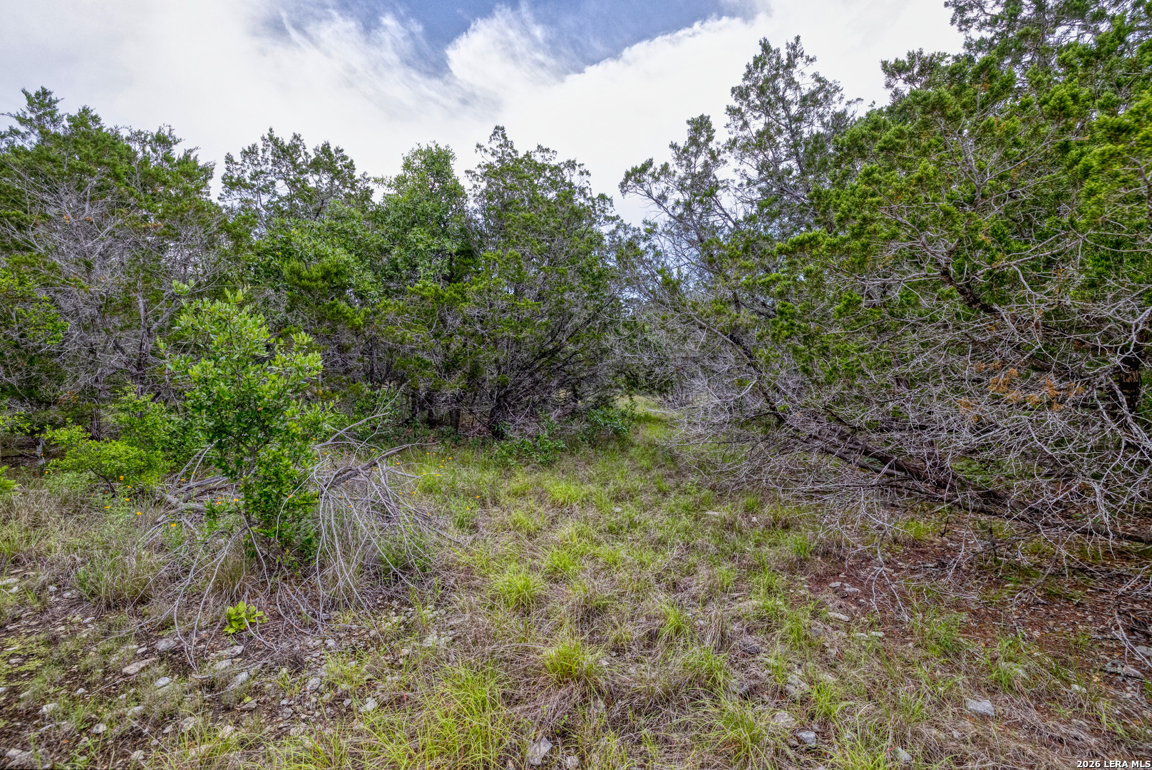 Lot 154 1796 Ranch Dhanis TX 78850