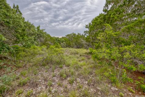 Lot 154 1796 Ranch Dhanis TX 78850