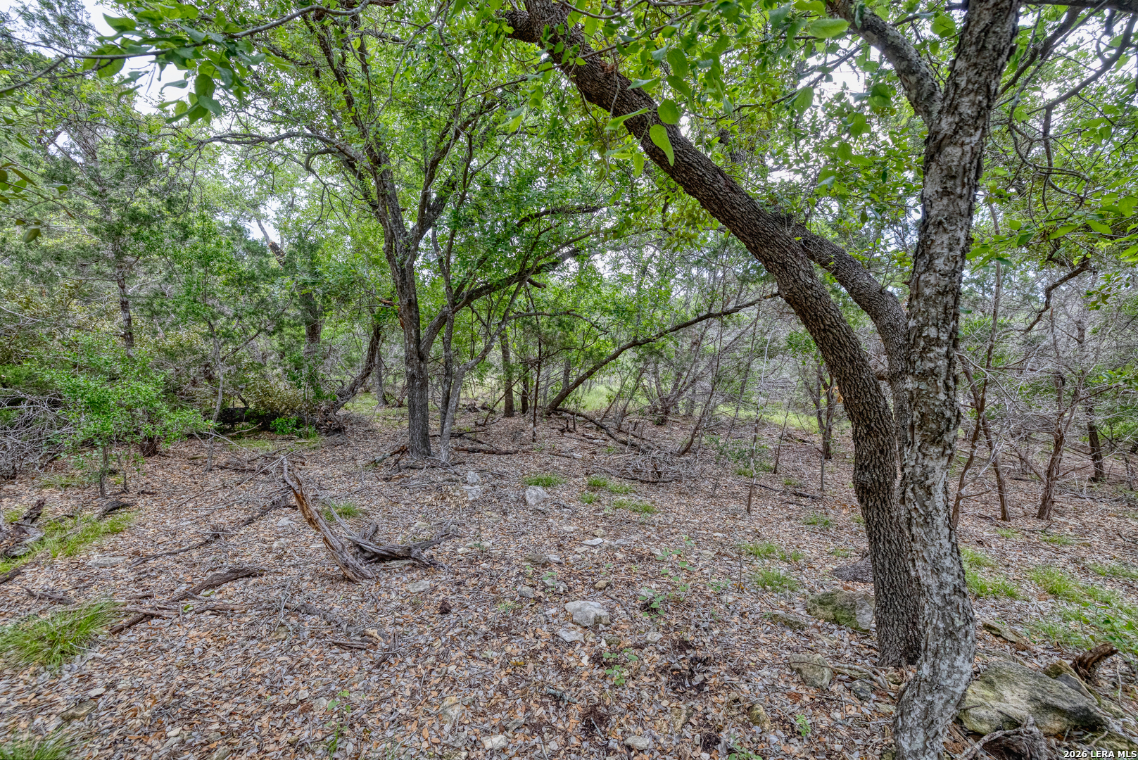 Lot 154 1796 Ranch Dhanis TX 78850