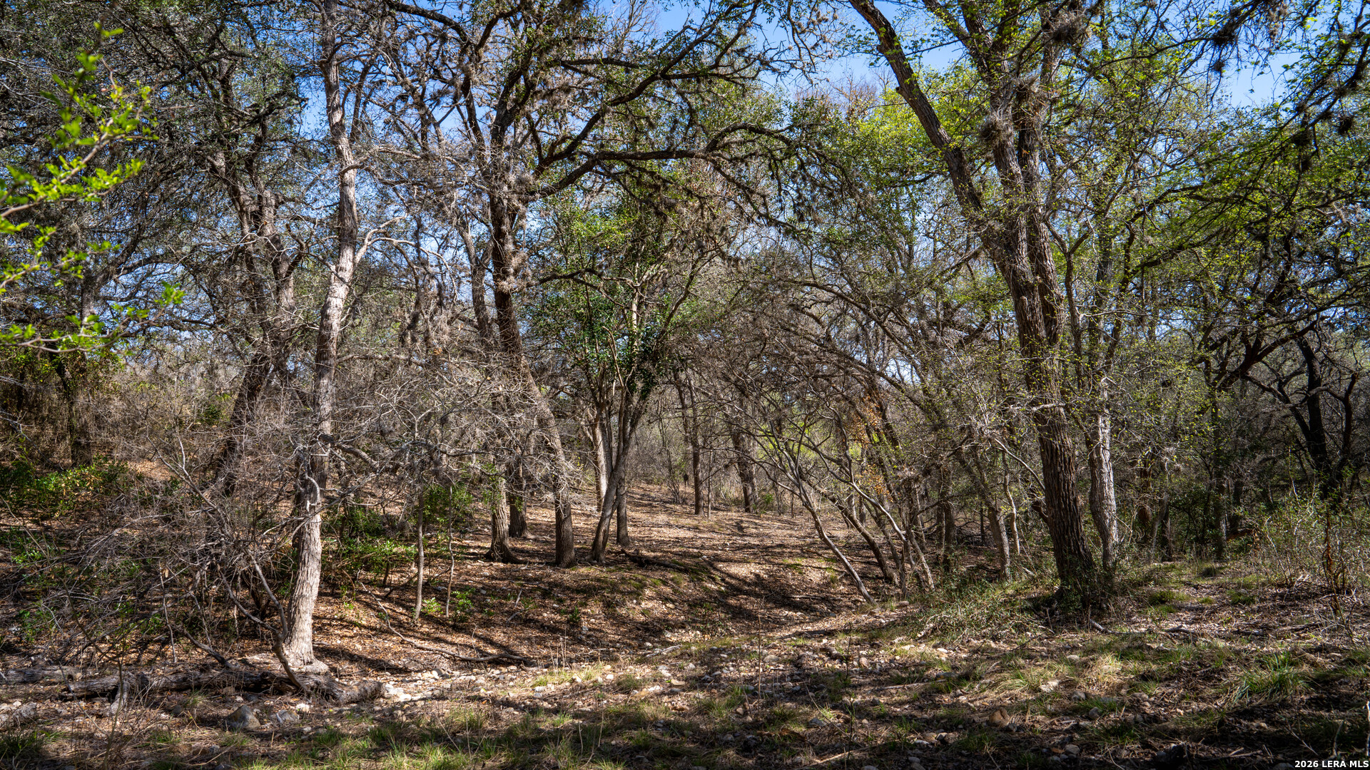 1312 Alsace Castroville TX 78009