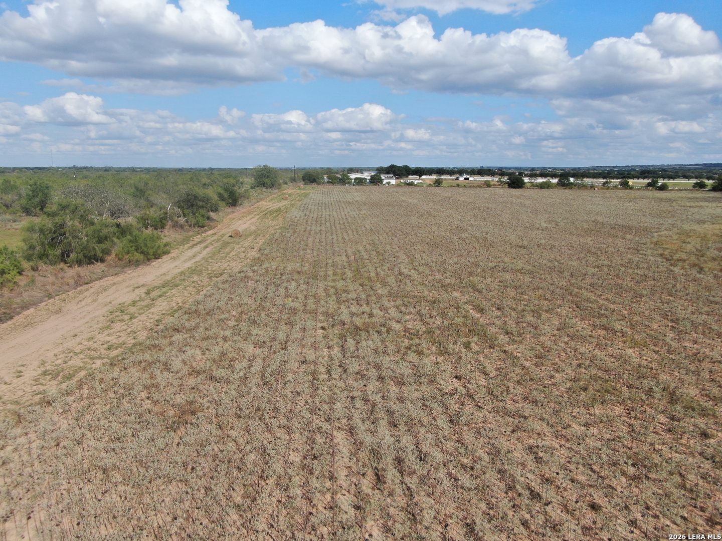 19504 Luckey Atascosa TX 78002