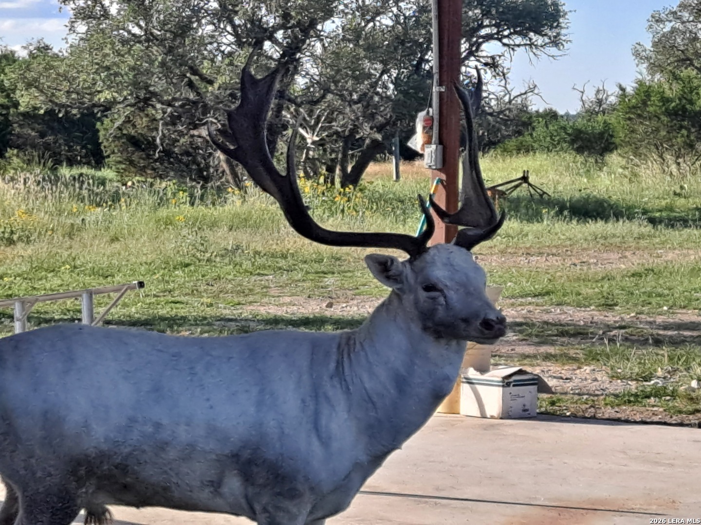 2724 Sd 24910 Rocksprings TX 78880