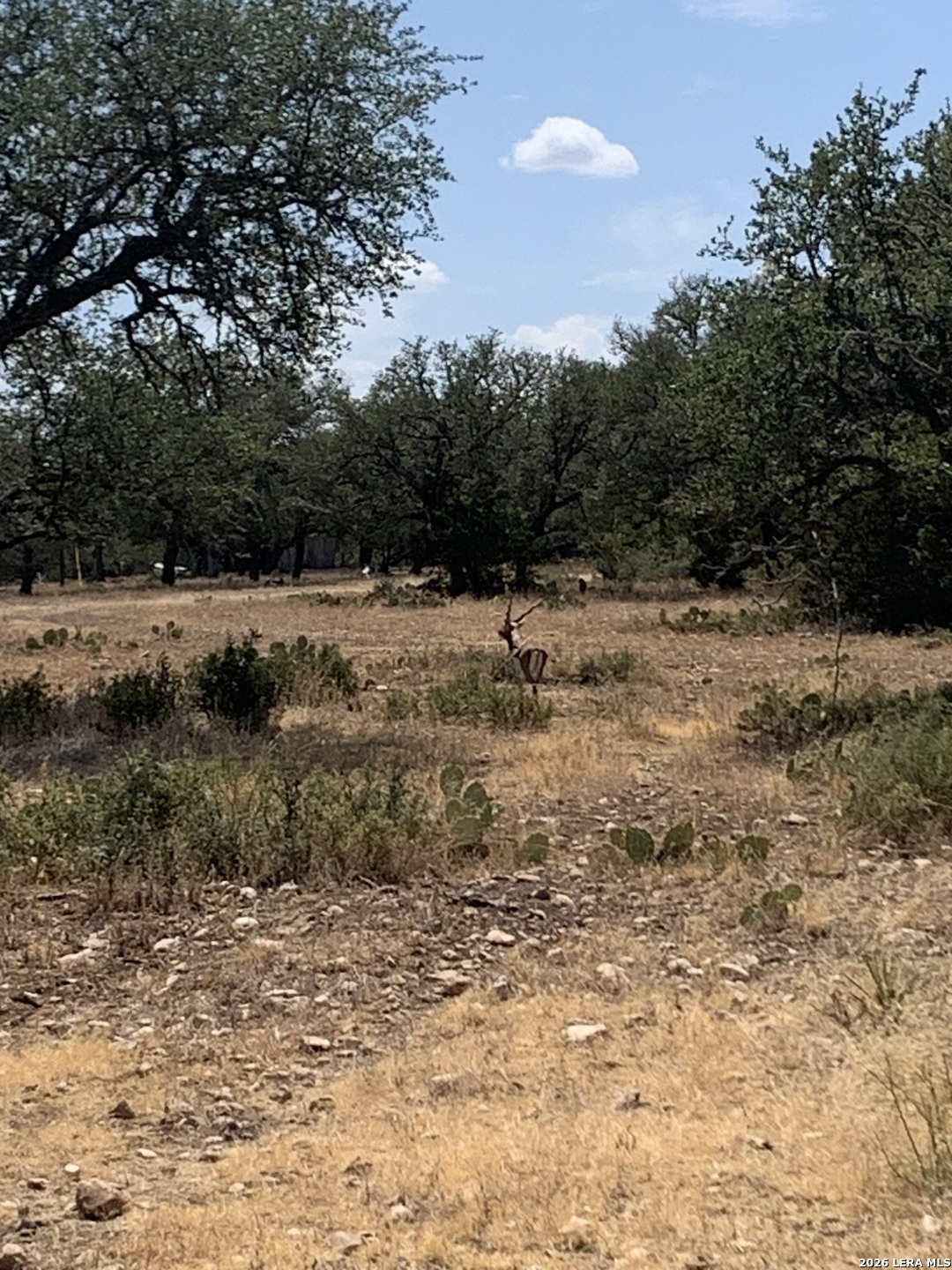 2724 Sd 24910 Rocksprings TX 78880