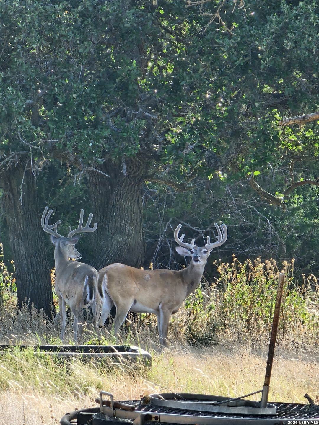 2724 Sd 24910 Rocksprings TX 78880