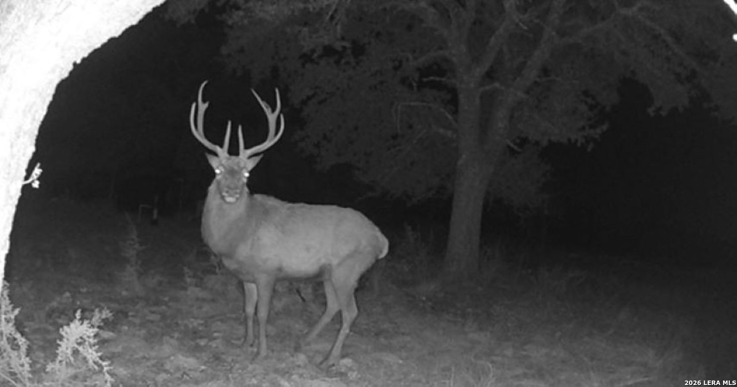 2724 Sd 24910 Rocksprings TX 78880