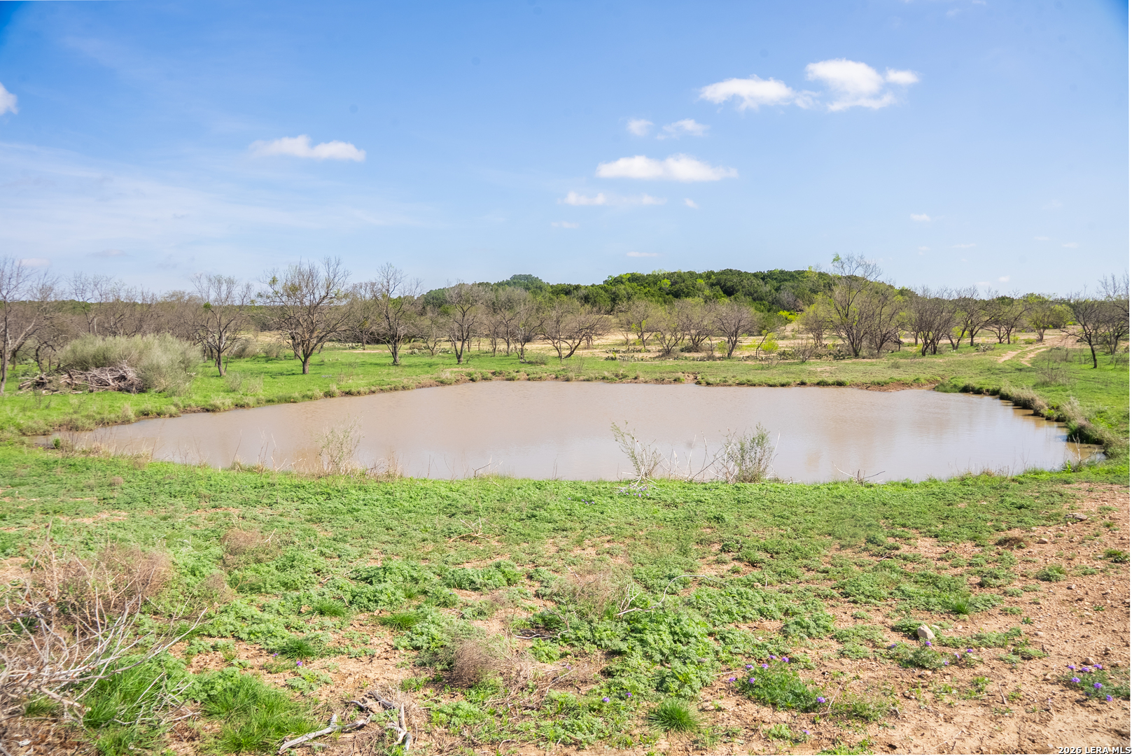2250 Fm 1311 Brady TX 76825