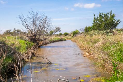 2250 Fm 1311 Brady TX 76825
