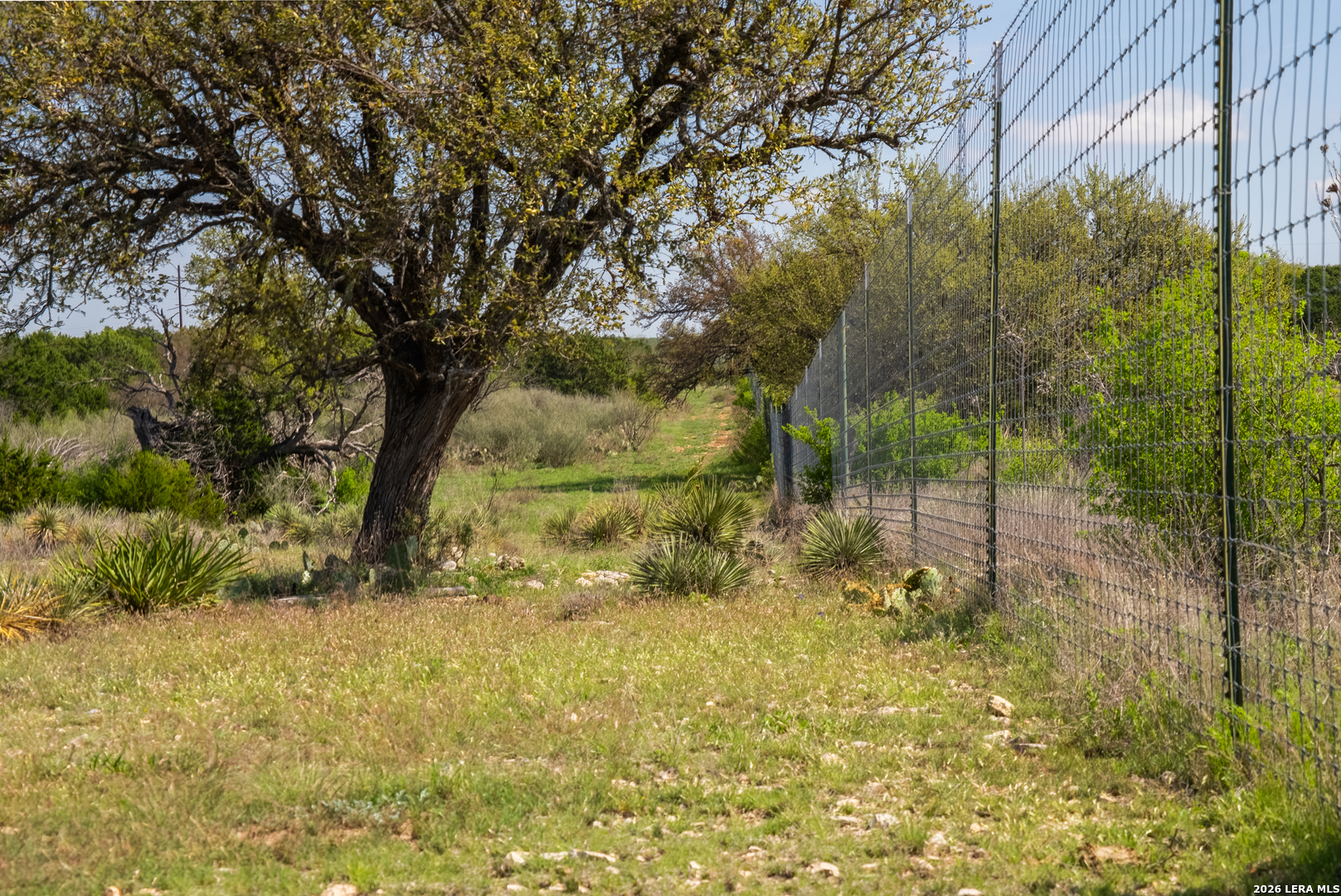 2250 Fm 1311 Brady TX 76825