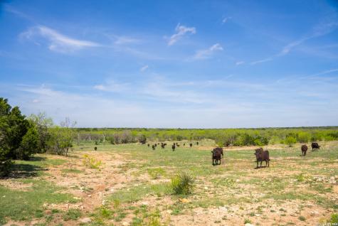 2250 Fm 1311 Brady TX 76825