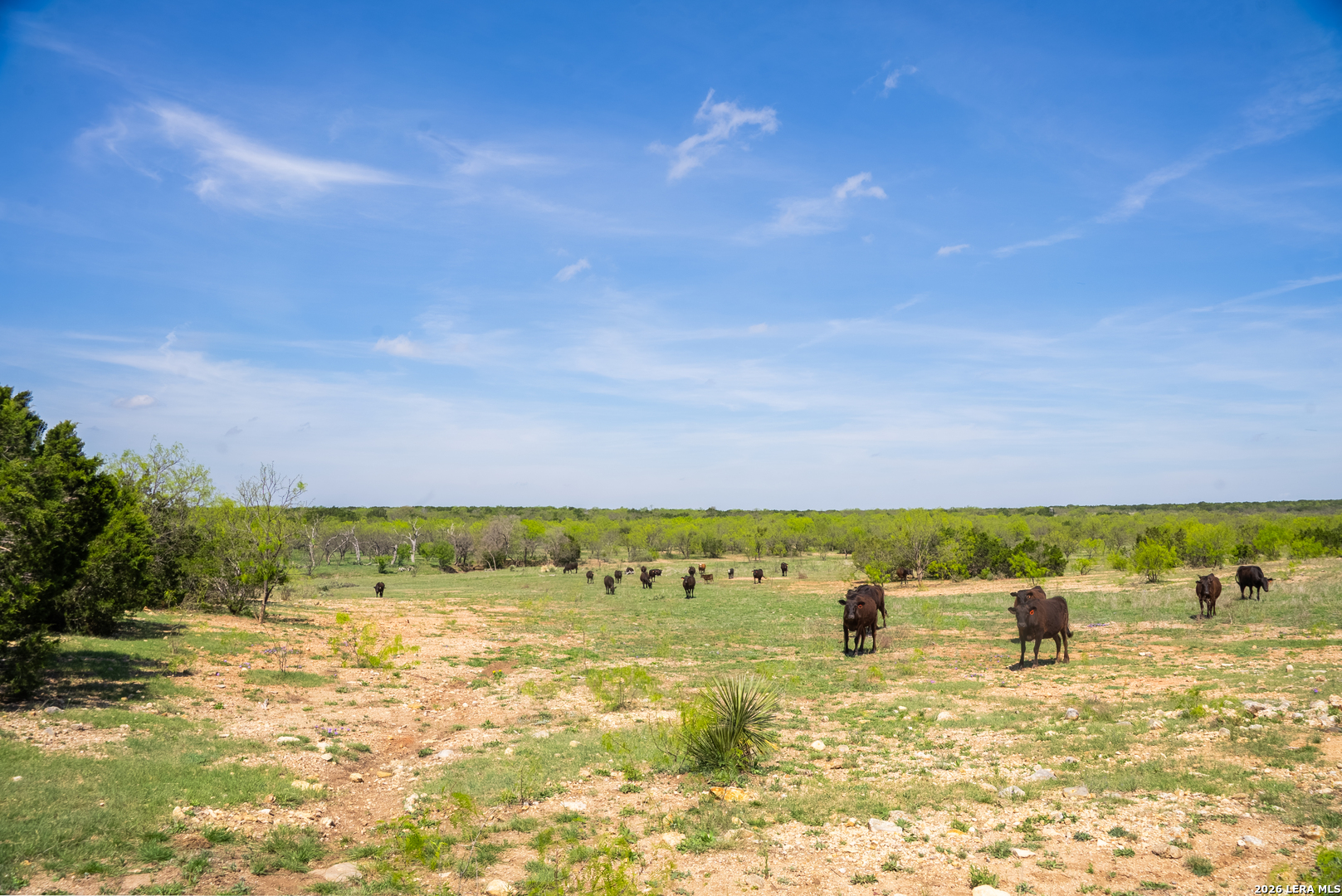 2250 Fm 1311 Brady TX 76825