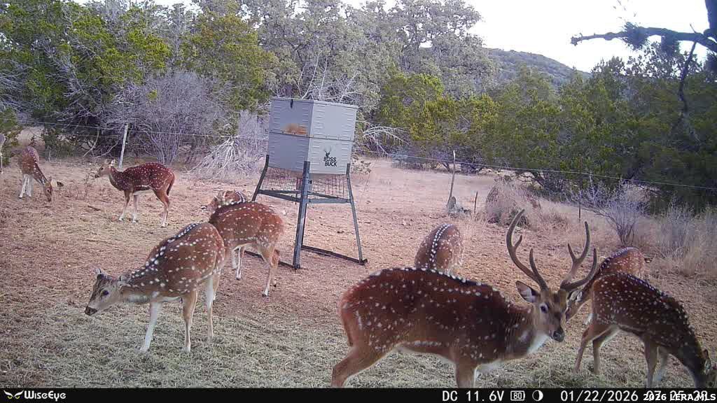 000 Rm 336 Leakey TX 78873