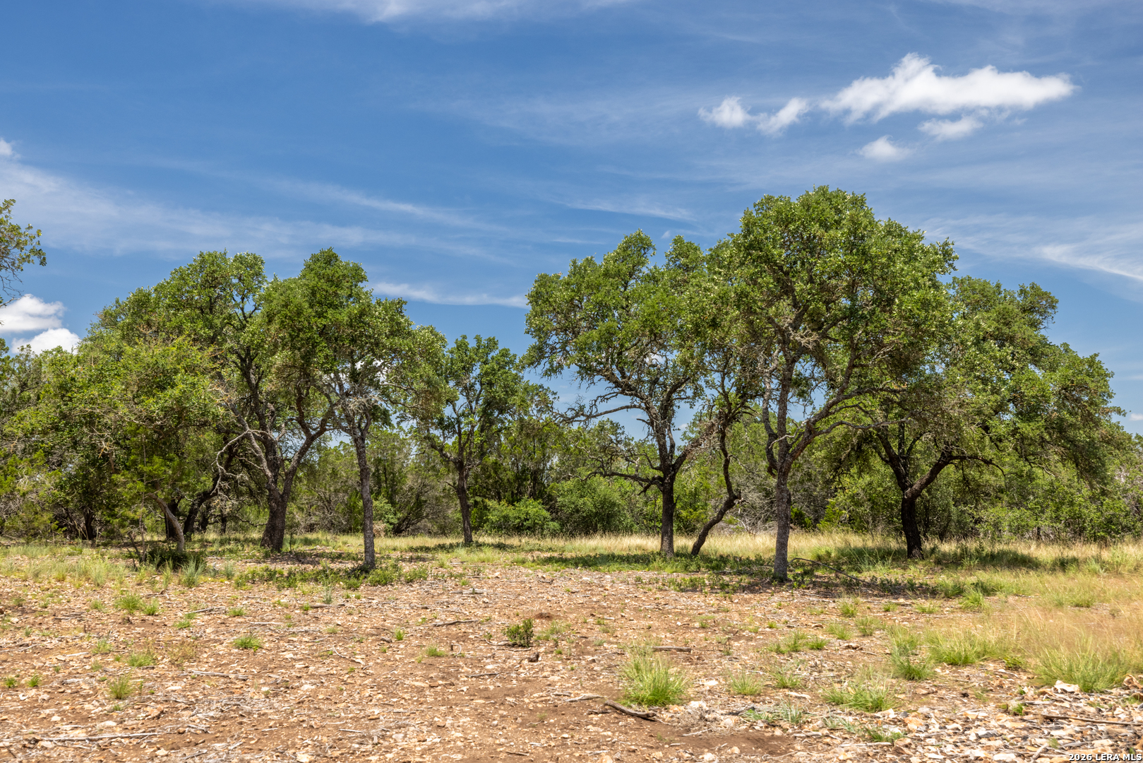 0 Cherry Creek Road Hunt TX 78024