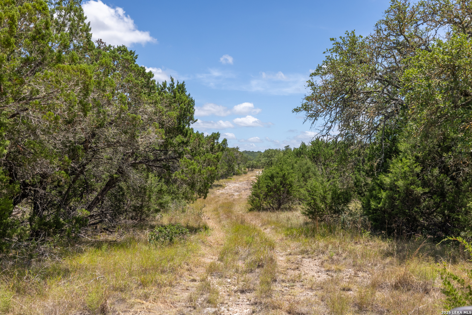 0 Cherry Creek Road Hunt TX 78024