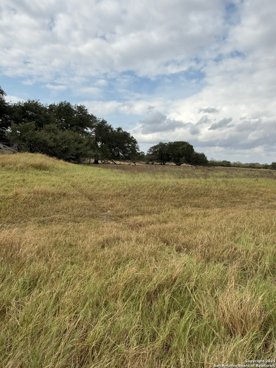 4689 County Road 302 Runge TX 78151