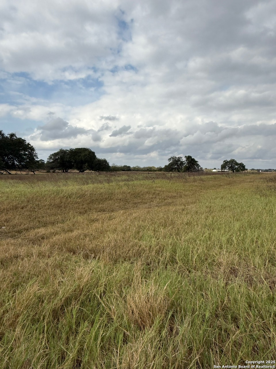4689 County Road 302 Runge TX 78151