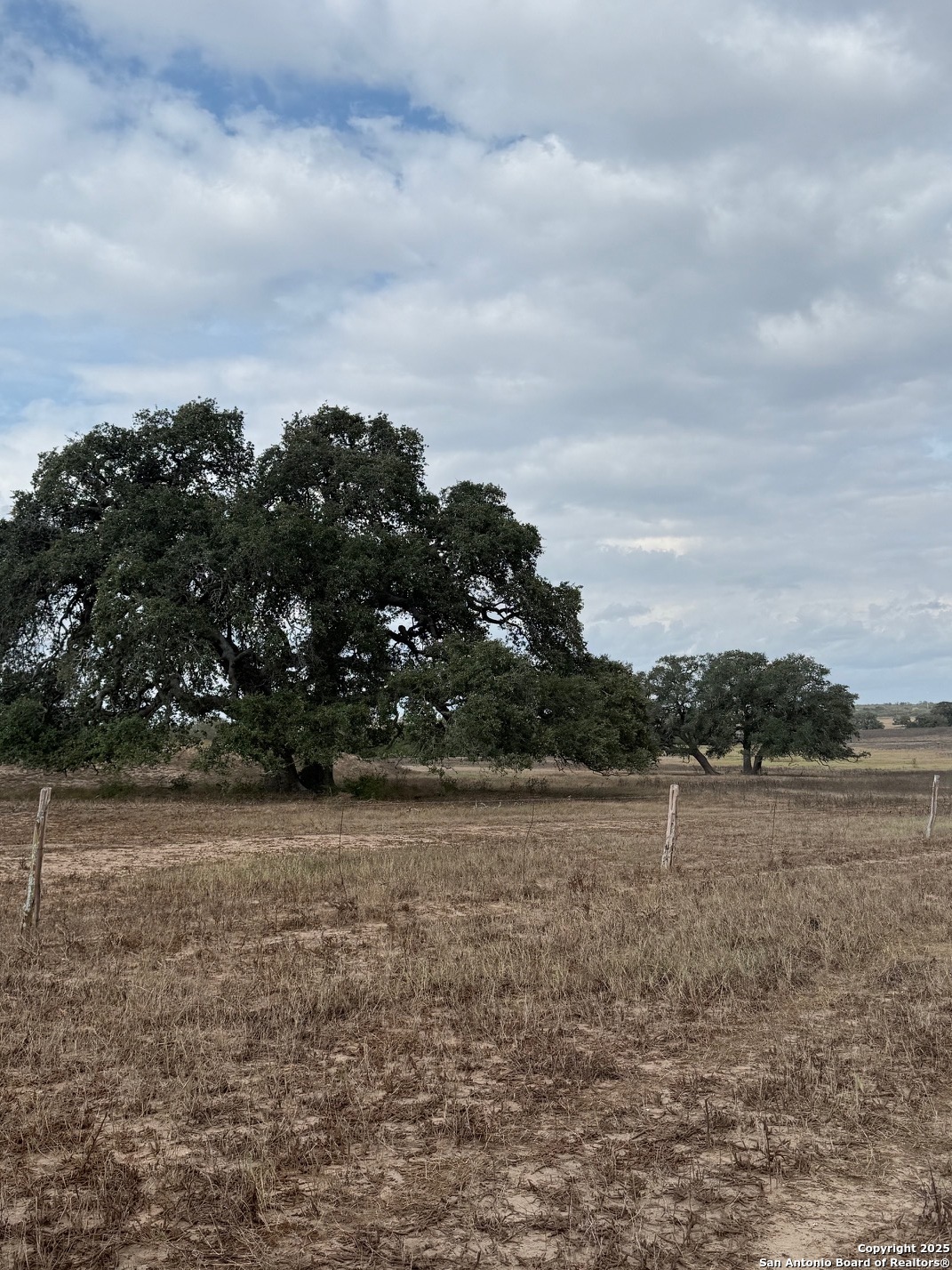 4689 County Road 302 Runge TX 78151