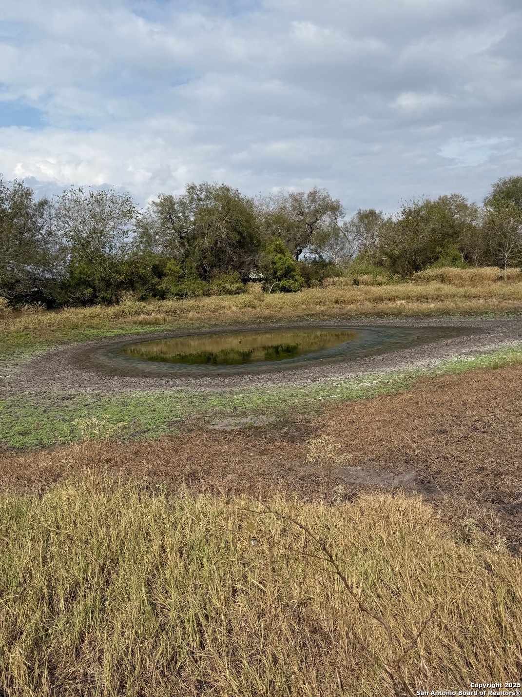4689 County Road 302 Runge TX 78151
