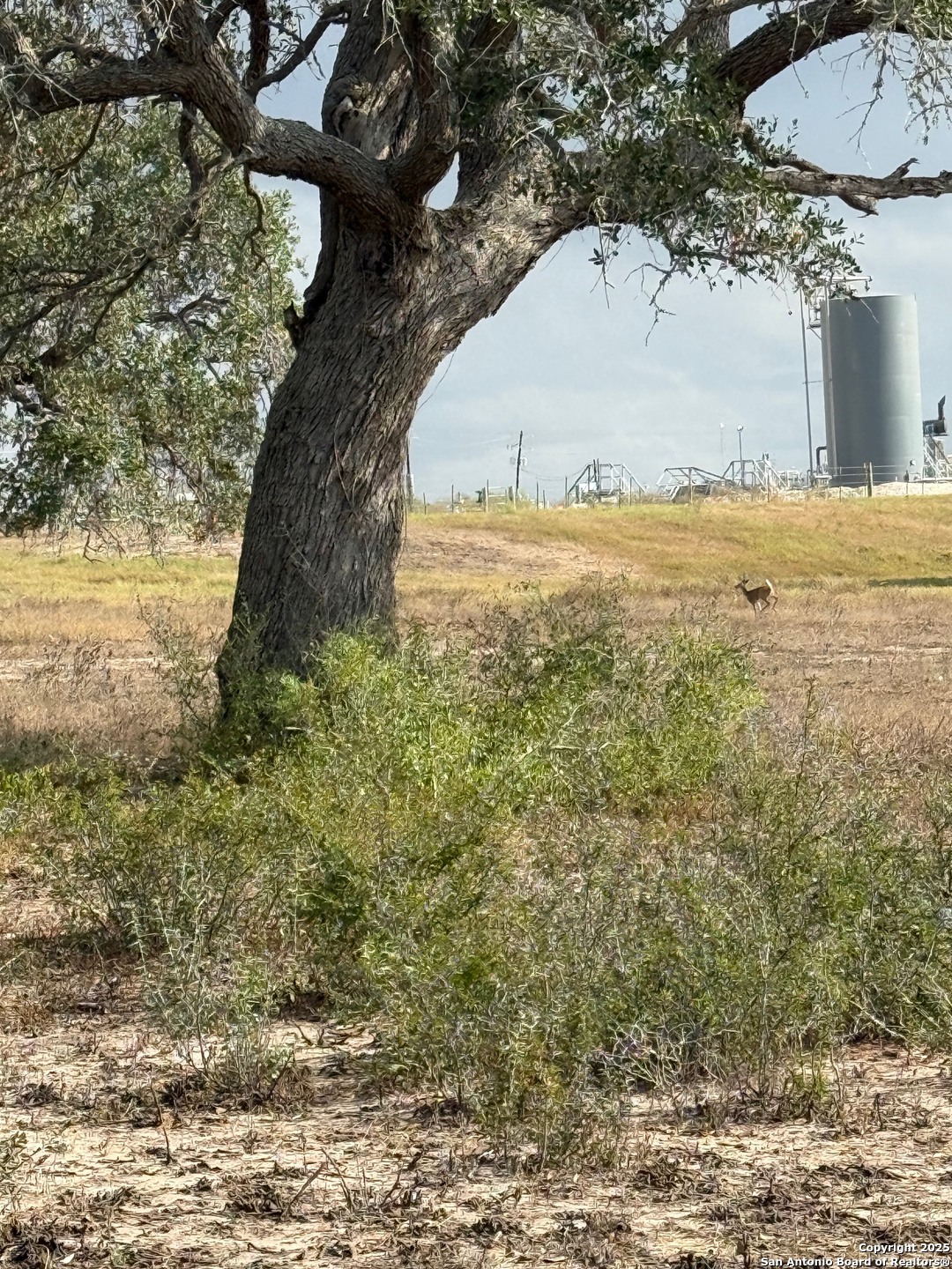 4689 County Road 302 Runge TX 78151