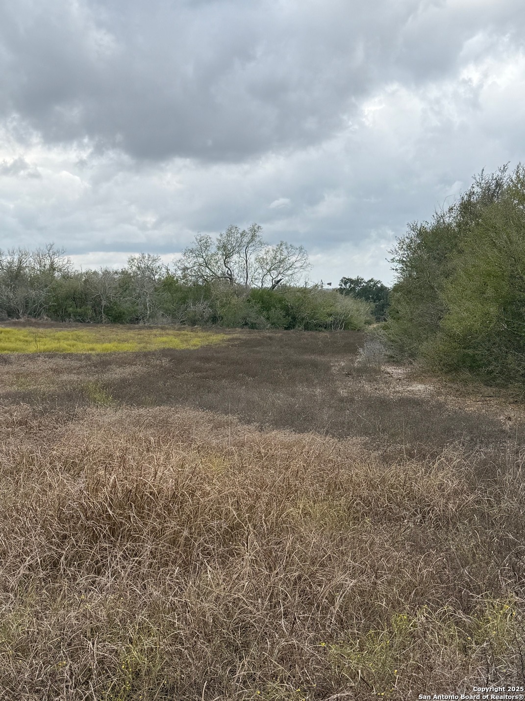 4689 County Road 302 Runge TX 78151