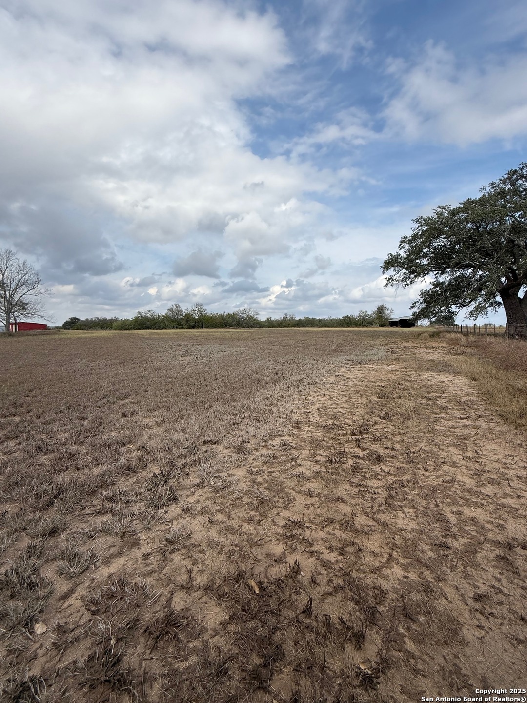 4689 County Road 302 Runge TX 78151