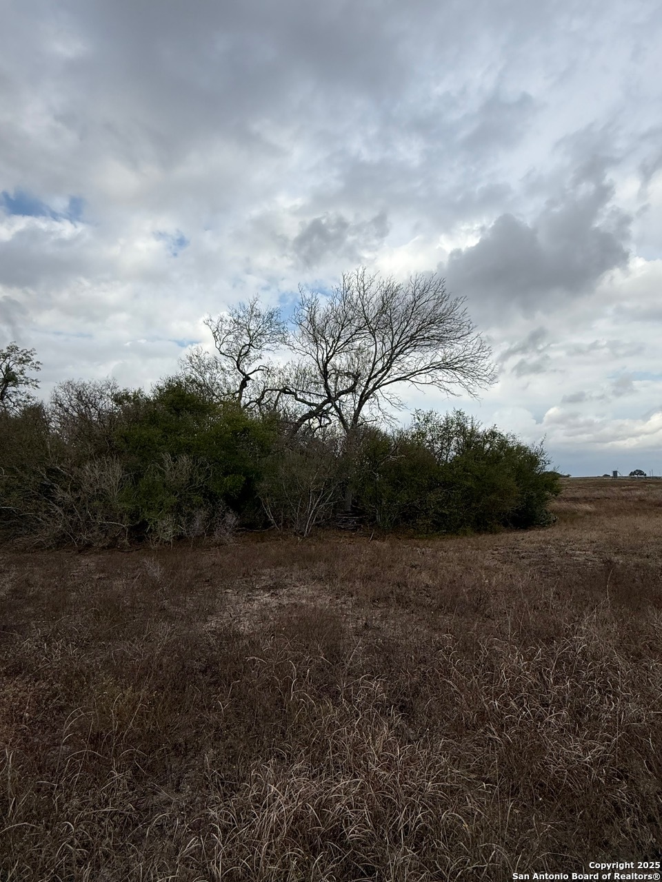 4689 County Road 302 Runge TX 78151