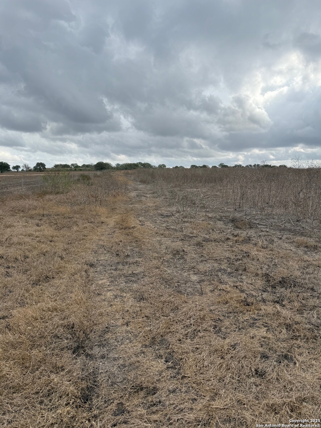 4689 County Road 302 Runge TX 78151