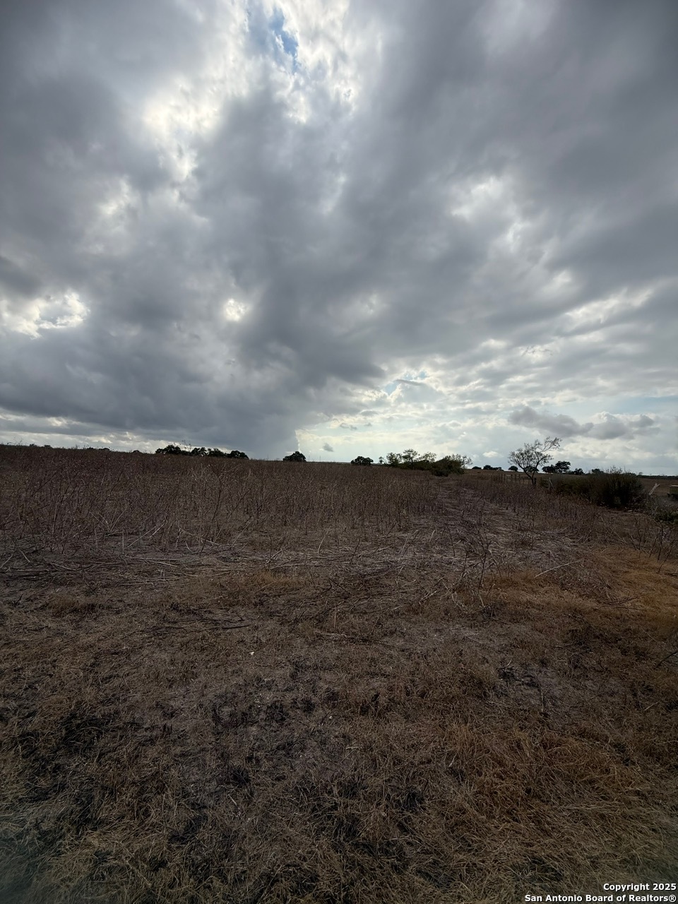 4689 County Road 302 Runge TX 78151