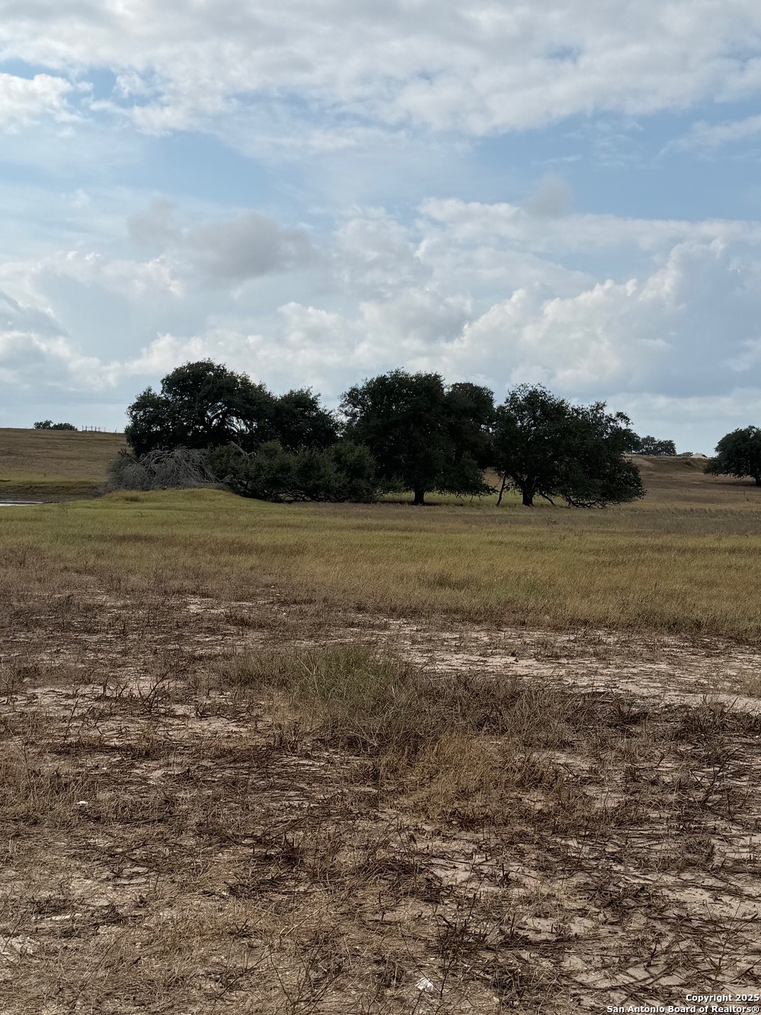 4689 County Road 302 Runge TX 78151