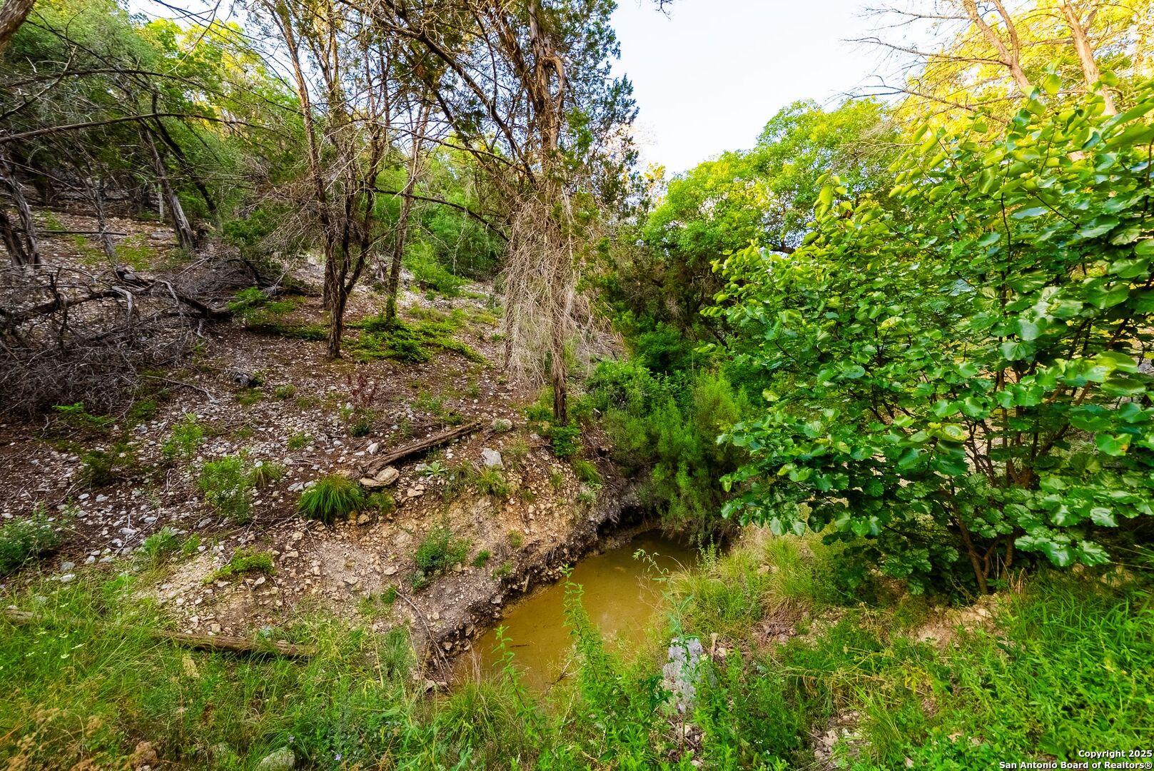 165 Trent Road S Kerrville TX 78028
