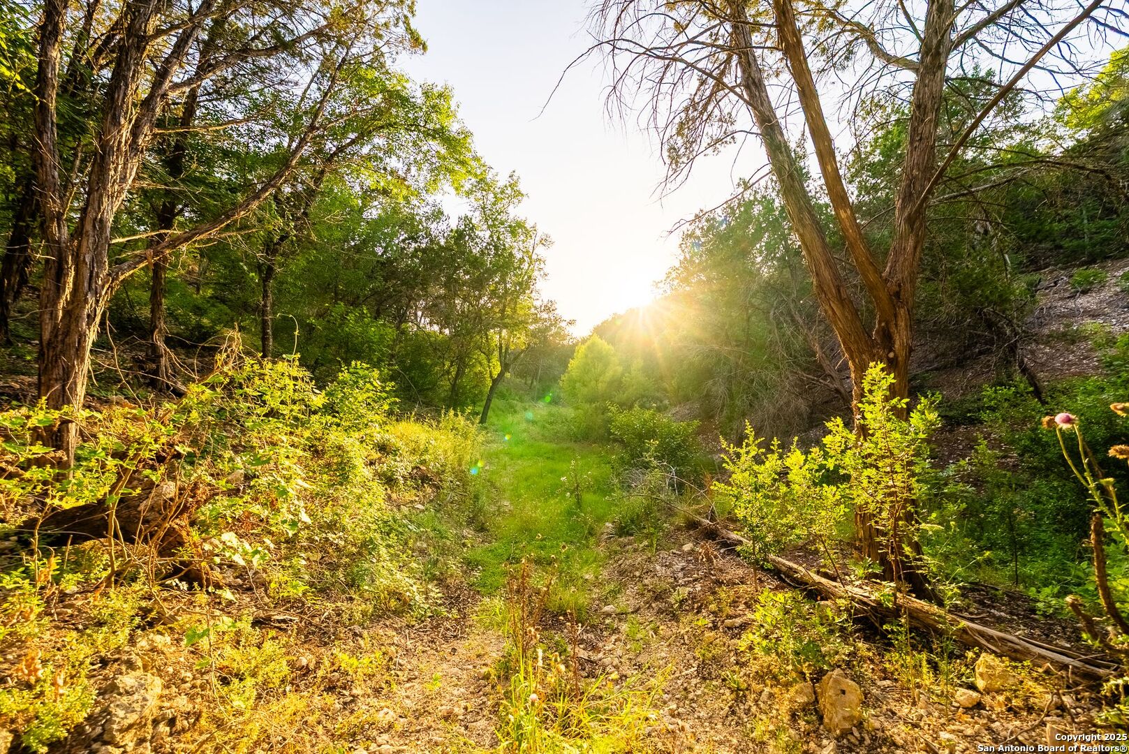 165 Trent Road S Kerrville TX 78028