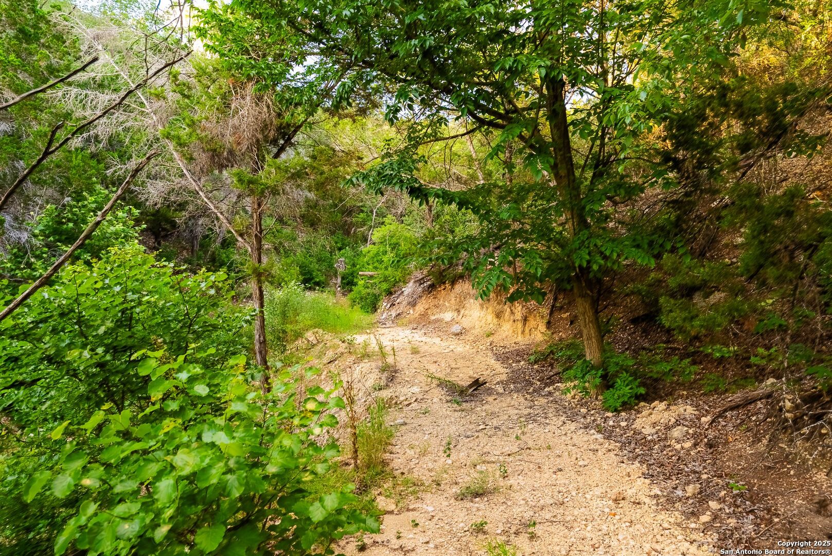 165 Trent Road S Kerrville TX 78028
