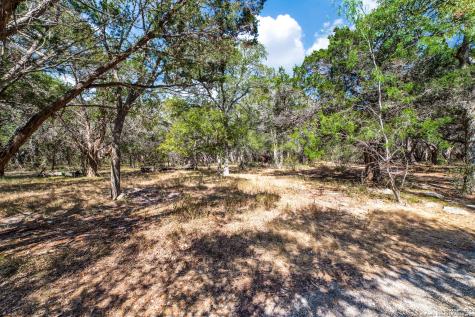 31210 Stahl Lane Bulverde TX 78163