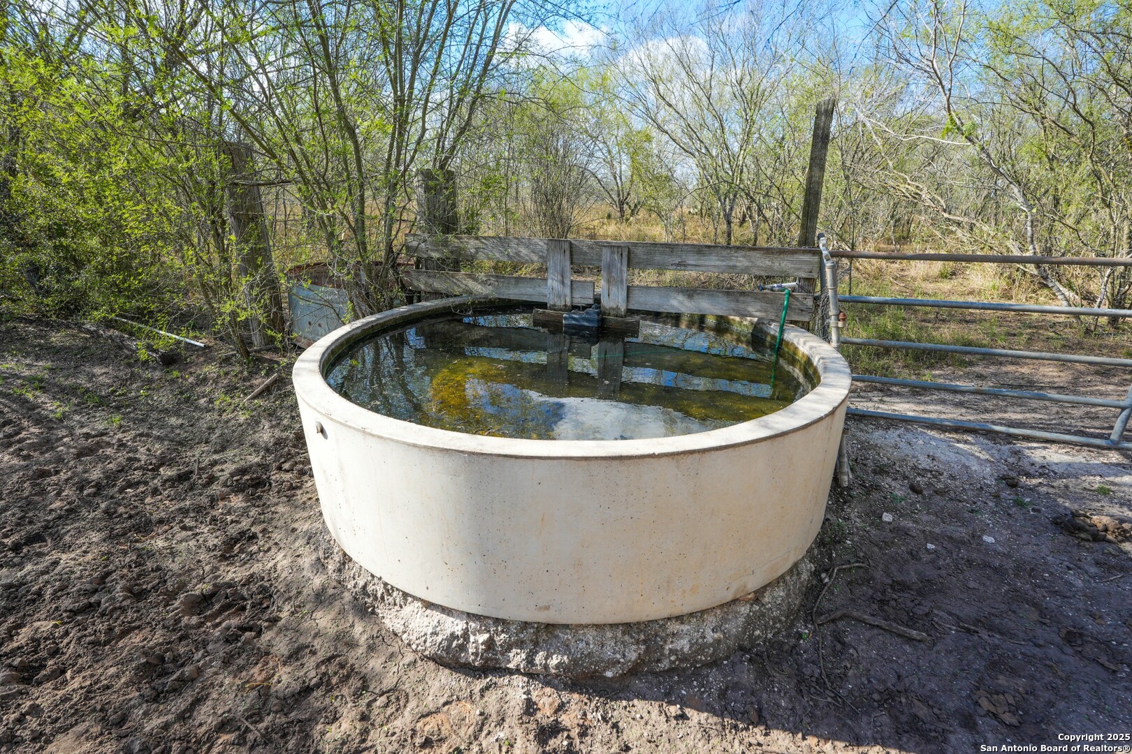 0 Cr 115 Mineral TX 78119