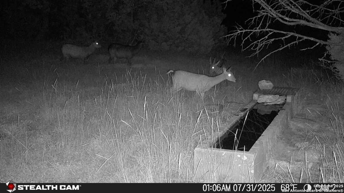 116 U.s. Highway 83 Mountain Home TX 78058