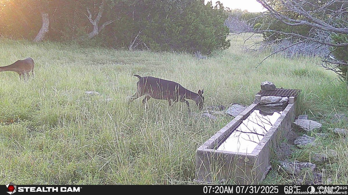 116 U.s. Highway 83 Mountain Home TX 78058