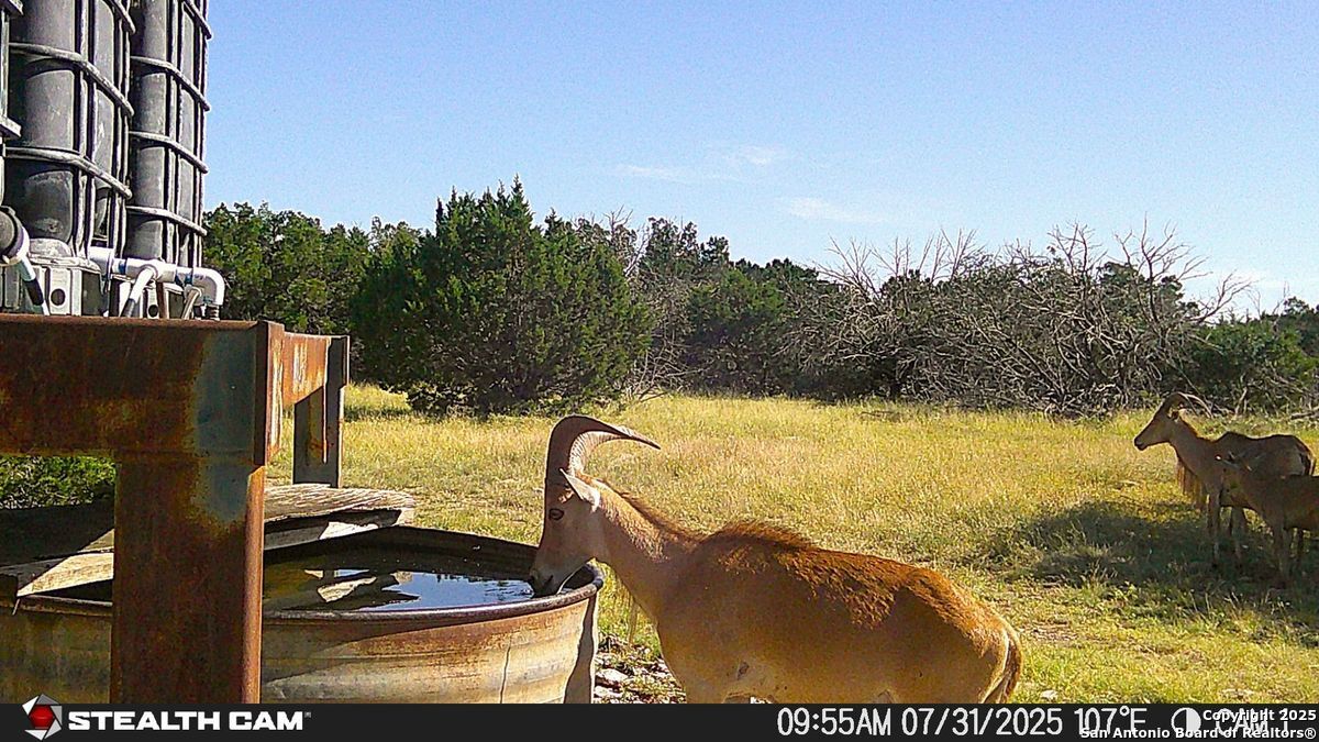 116 U.s. Highway 83 Mountain Home TX 78058