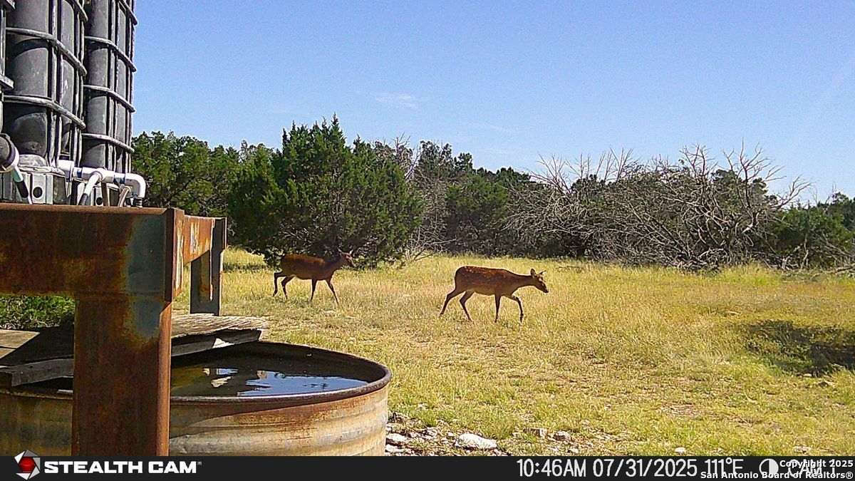 116 U.s. Highway 83 Mountain Home TX 78058