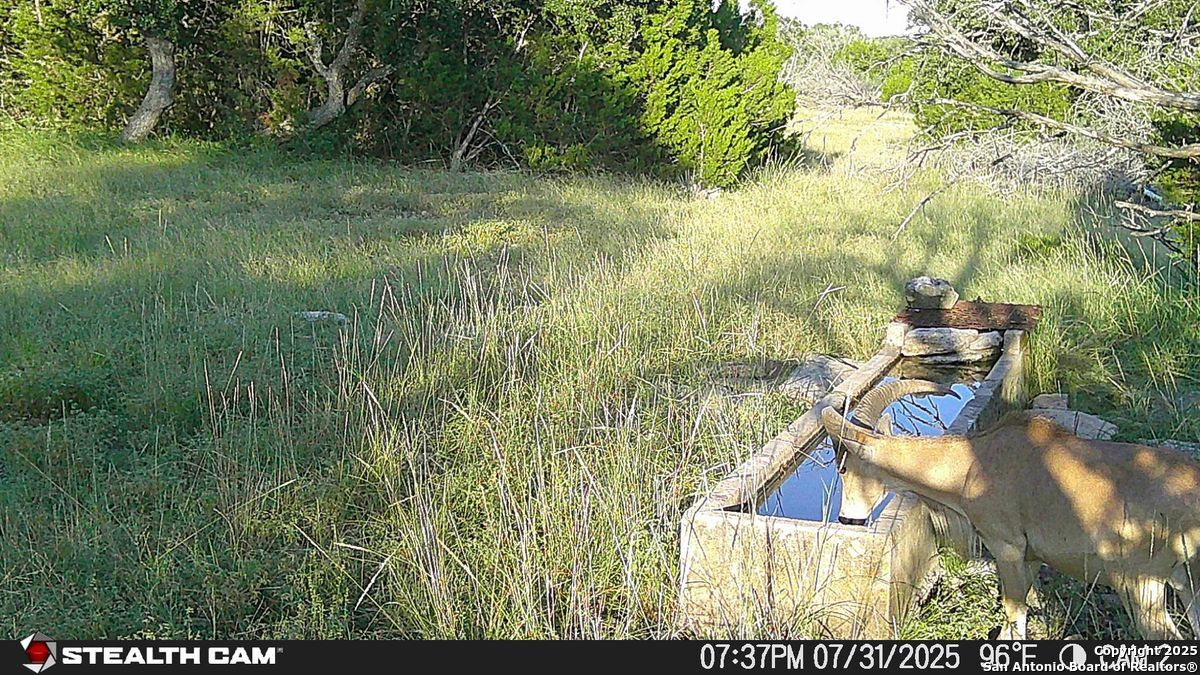 116 U.s. Highway 83 Mountain Home TX 78058