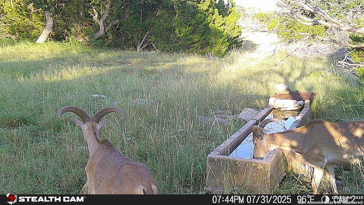116 U.s. Highway 83 Mountain Home TX 78058
